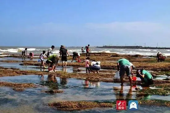 日照哪里能出海 日照哪里能出海捕鱼