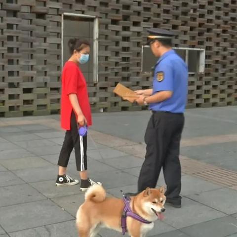 宁波关爱小区宠物店的长尾关键词有什么