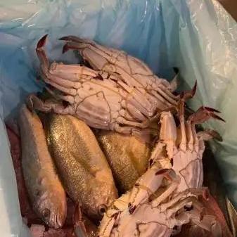 坐什么车去宁波市最快最方便