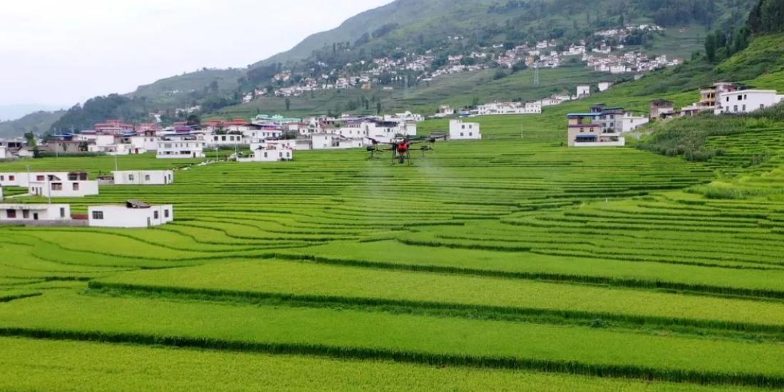 三臺(tái)縣柑橘病蟲(chóng)害防治站_藥材道地性是什么