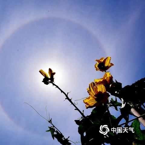 江苏省无锡市锡山区天气的长尾关键词有哪些