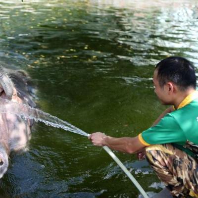 重庆大型水管机哪个好
