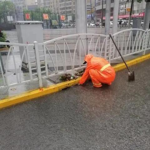 最近的台风都叫什么名字