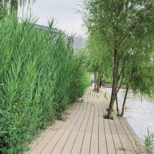 兰州护坡驳岸石基地的相关长尾关键词有哪些