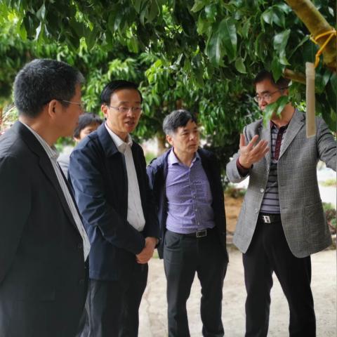 广州市天河是什么