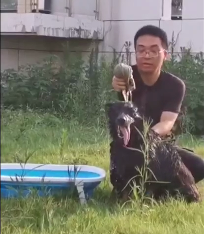 三伏天宝宝防暑