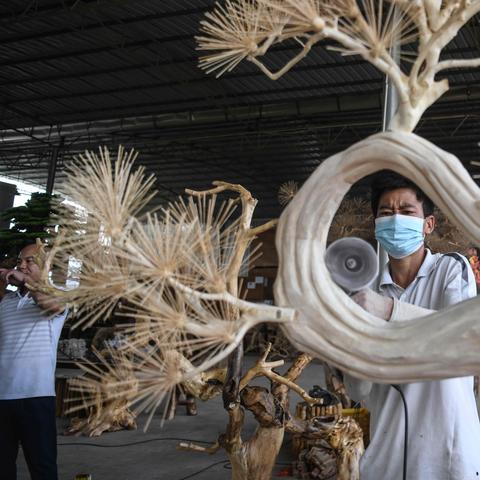 桂林永安公司相关长尾关键词有哪些