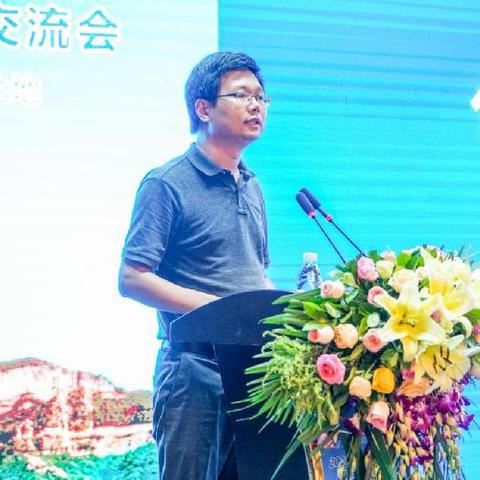 重庆哪个区房地产最好的