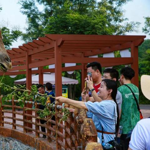 济南市哪里看抖音