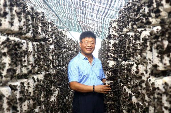 食用菌论文格式农田是用的化肥越多越高产吗