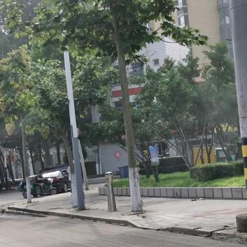 潍坊市专业除虫公司的长尾关键词有什么