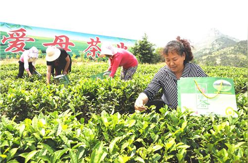 威海：党建带妇建，带“靓”半边天