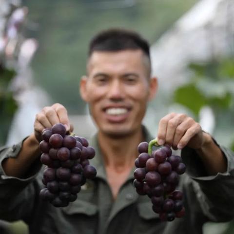桂林牛肉小串串相关长尾关键词有哪些