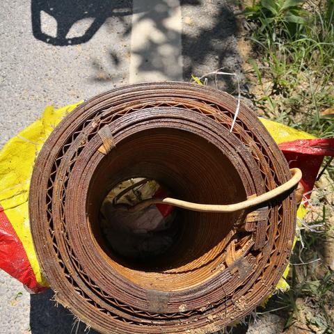 大埔洲瑞镇是什么地方