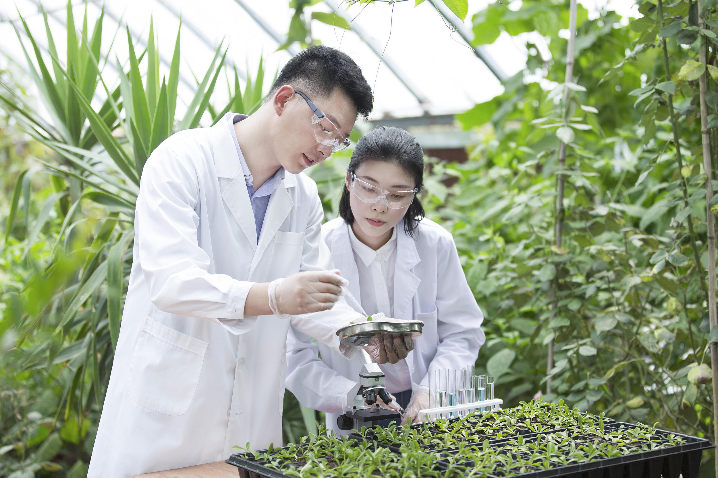 农业大学学报博士论文如何看待南京农业大学取消本科论文答辩