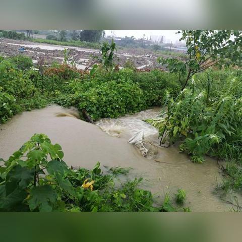 成都市哪里可以查停电