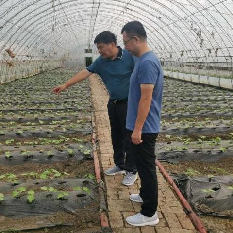 哈尔滨市种子公司在哪里