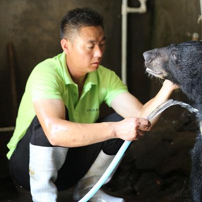 临沂市新动物园在哪里呀