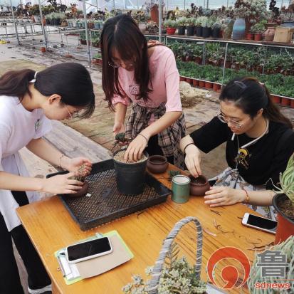 嘉兴到临沂市郯城县物流的长尾关键词有哪些