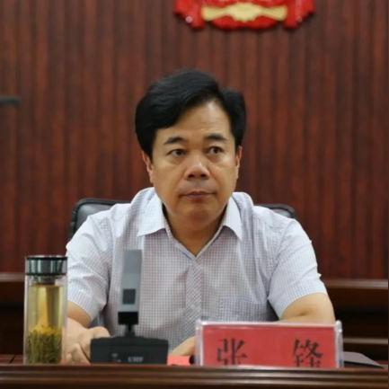 河南哪个市经济发展快的