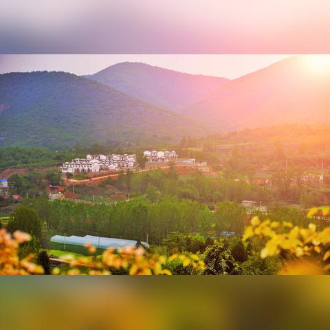 河南绿色公司怎么样