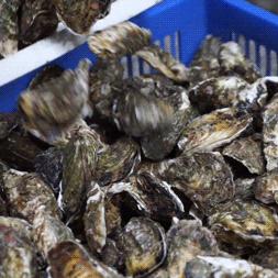 东莞市二手高压锅出售的长尾关键词有哪些