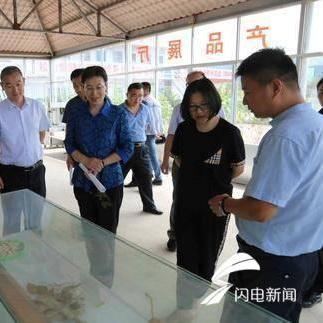 临沂市对口支援的长尾关键词有哪些