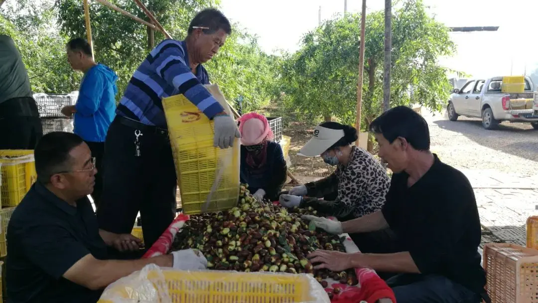 快手反馈怎么删除 快手怎么删除建议反馈