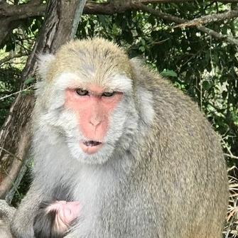 苏州市玉山公园怎么样啊