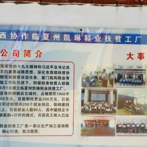 目前厦门市什么生意赚钱
