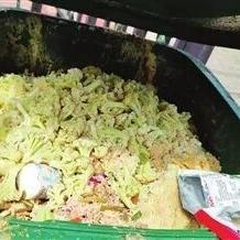天津拍鱼视频直播怎么样