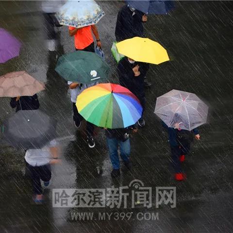 台风巴威会到哈尔滨吗相关长尾关键词有哪些