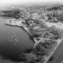 温州市市民条例的长尾关键词有什么