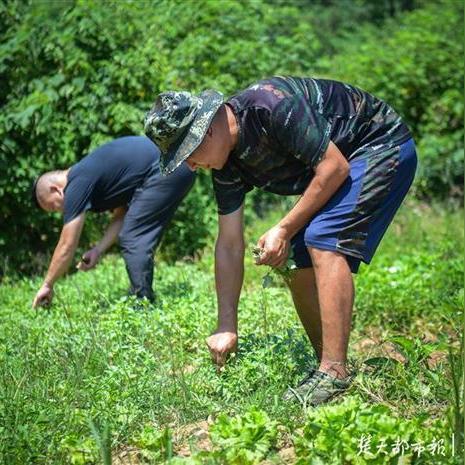 私厨广州疫情相关长尾关键词有哪些