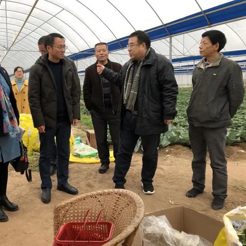 福建大东海怎么样