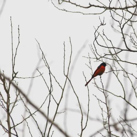台湾电影上映的长尾关键词是什么