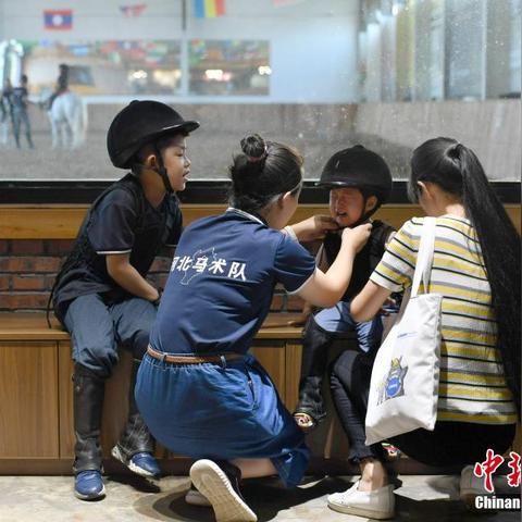 石家庄市哪里学马术