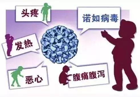 宝宝得了诺如病毒脱水怎么办