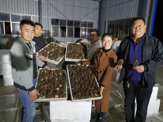 新农人周晴晴：创新食用菌技术，助推乡村振兴
