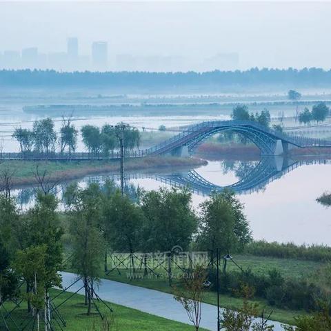 哈尔滨天气11号的相关长尾关键词有哪些