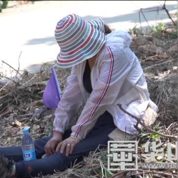 厦门杏林喊话的相关长尾关键词有哪些