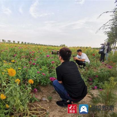 风车小镇 哈尔滨相关长尾关键词有哪些