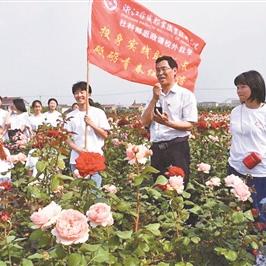 宁波市永旺村属于哪个