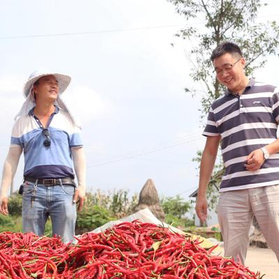 重庆农业怎么样