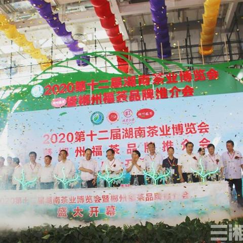 长沙的直播公司相关长尾关键词有哪些