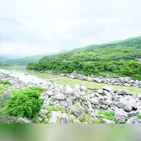 大连圣越宠物的长尾关键词有什么