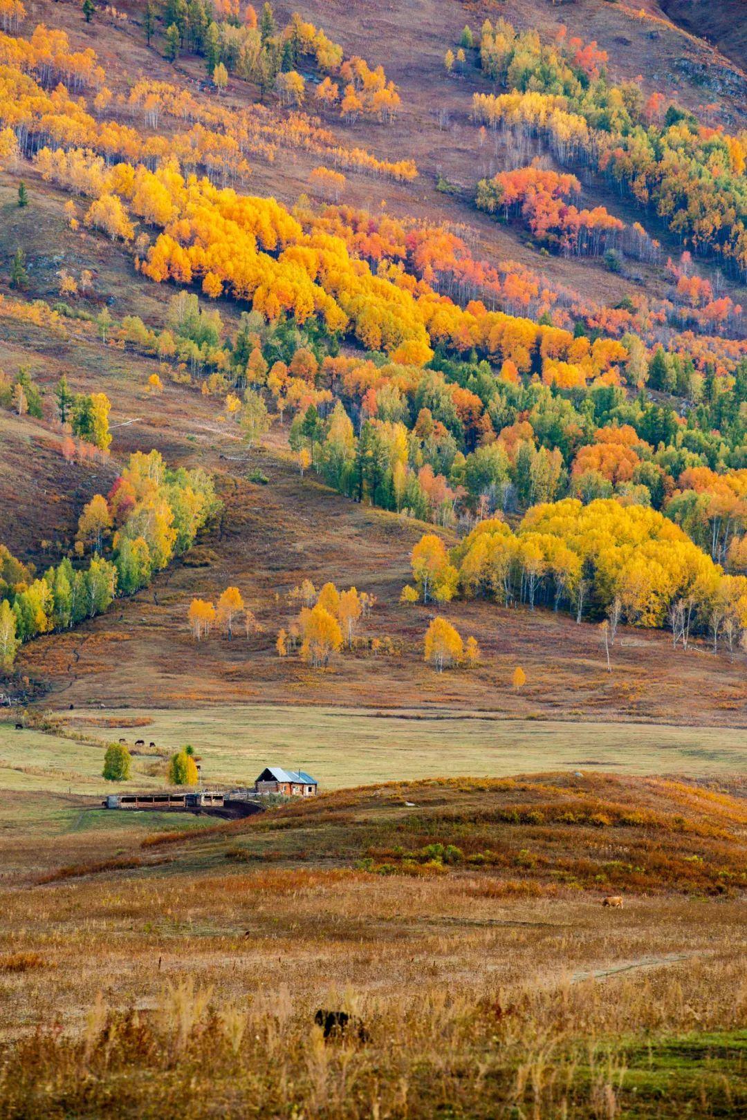 9月放假安排时间表2021
 ,9月放假安排时间表上班