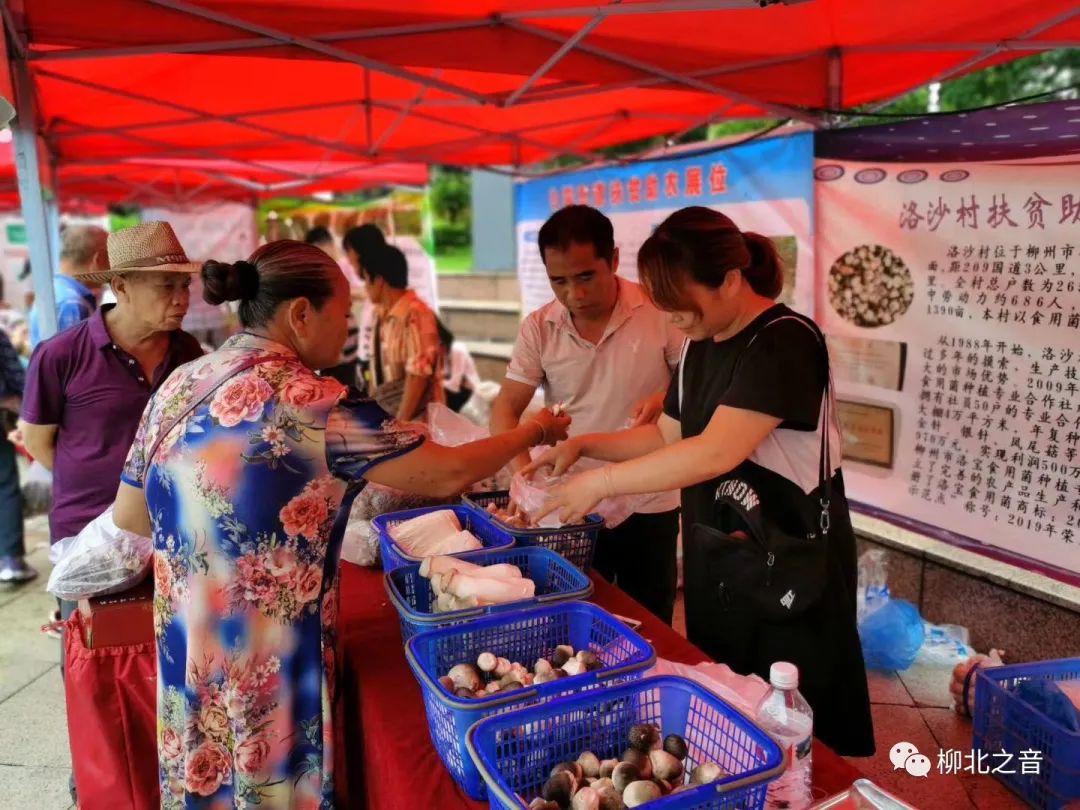 柳北有什么美食（太原有什么好吃的地方）