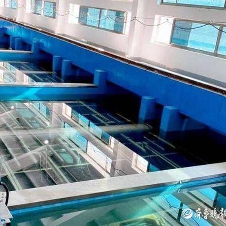 济南市西八里洼是哪个区