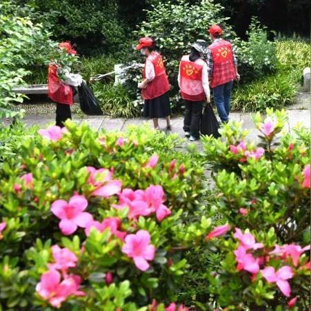 温州市实验中学团校的长尾关键词有什么